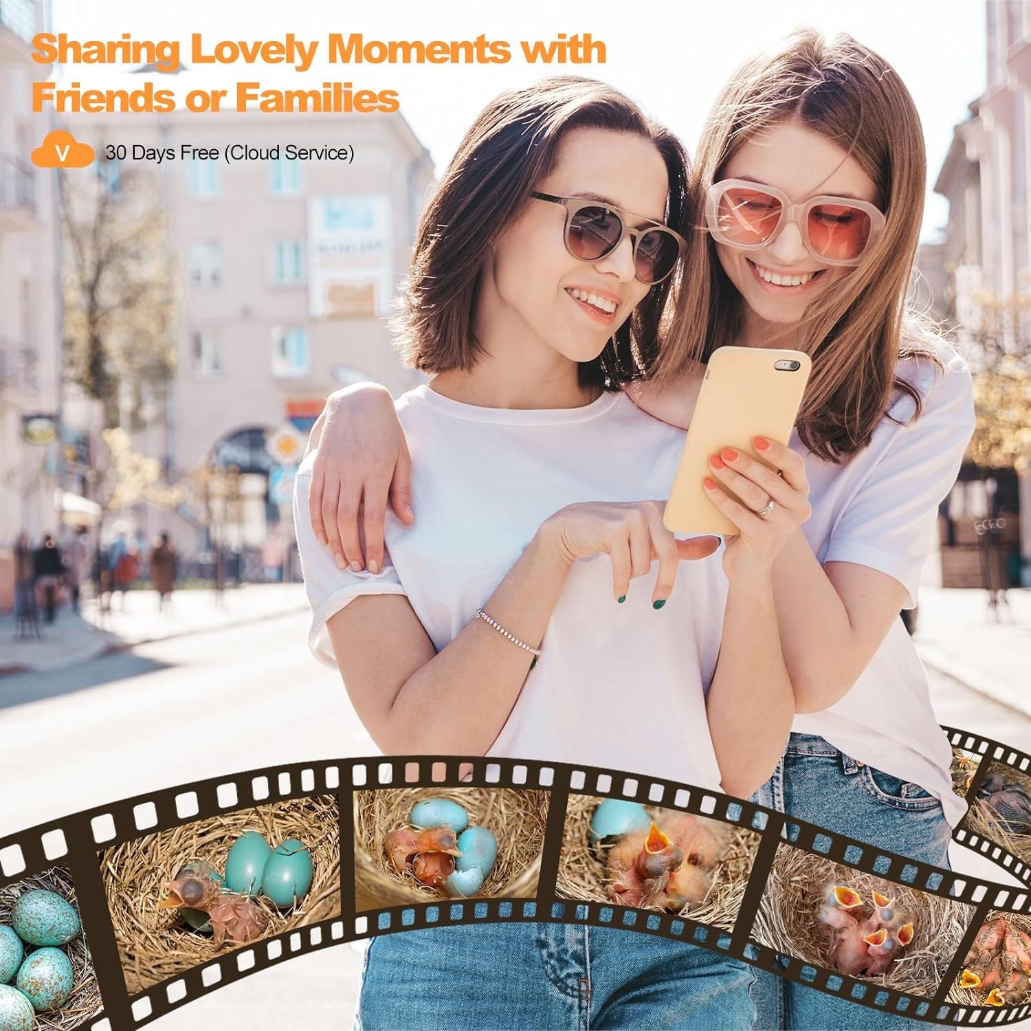 Smart Birdhouse Camera 3MP | Outdoor Bird Nest Monitoring & Alerts