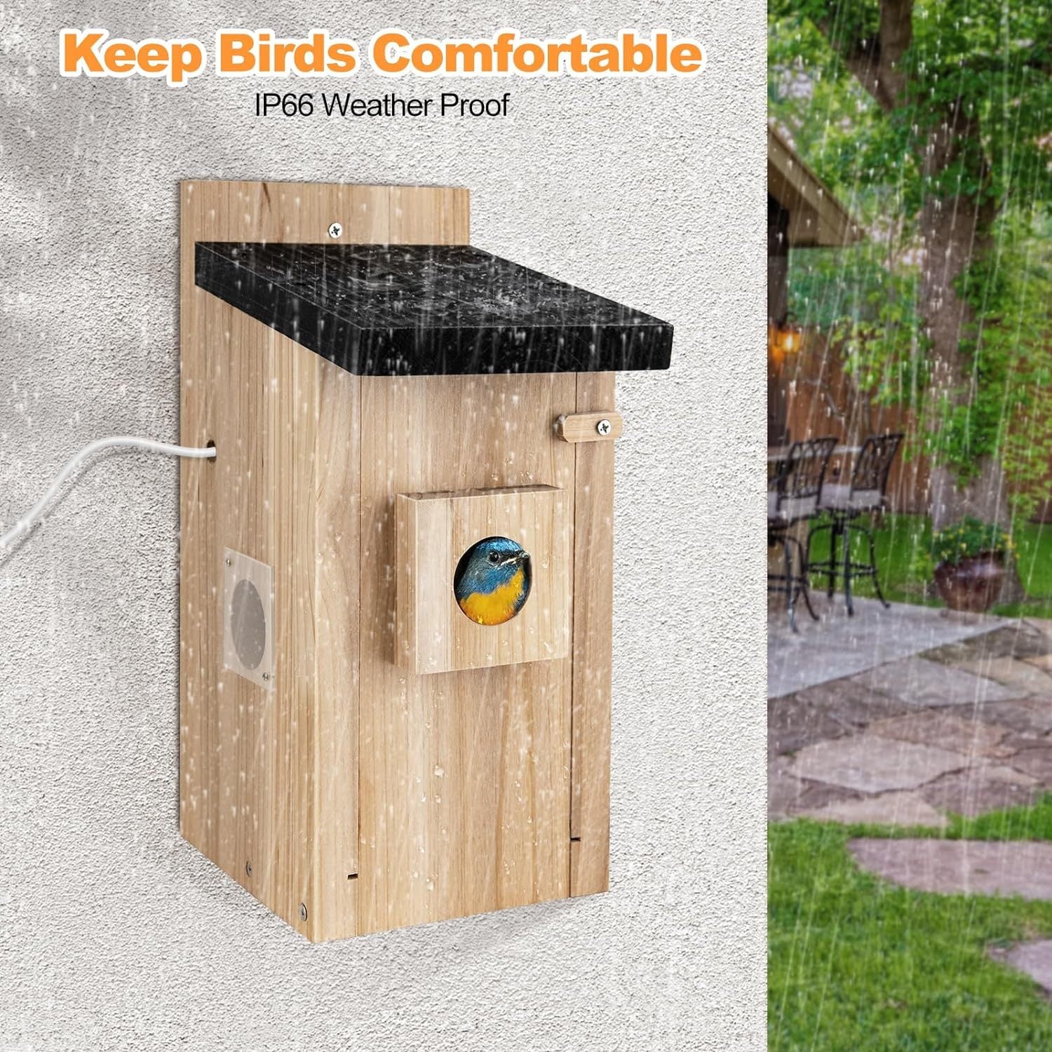 Smart Birdhouse Camera 3MP | Outdoor Bird Nest Monitoring & Alerts